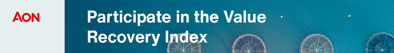 Participate in the Value Recovery Index